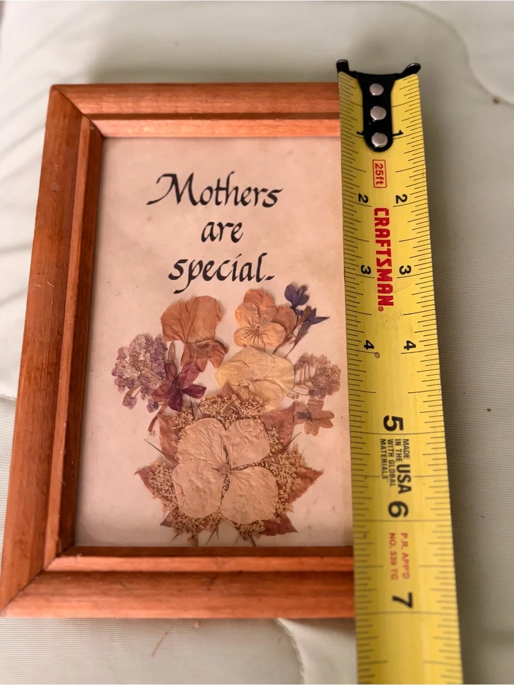 Wood Framed Dried Pressed Florals Wall Art - Mothers Are Special Charming Decor